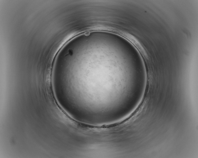 X0000113531244200909181128