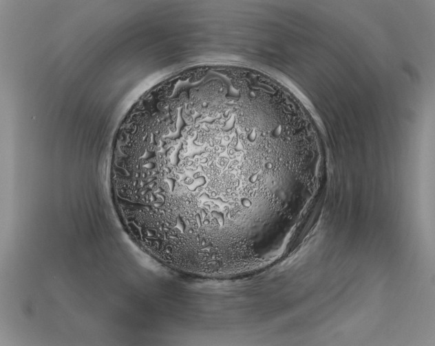 X0000113531245200909181128
