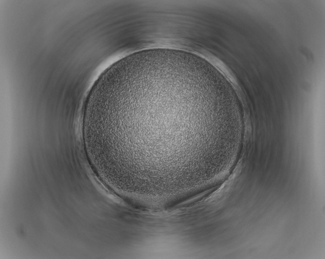 X0000113531246200909181128