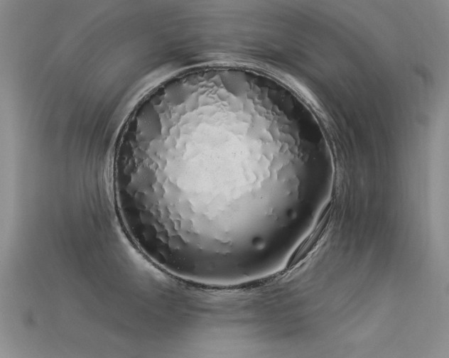 X0000113531247200909181128