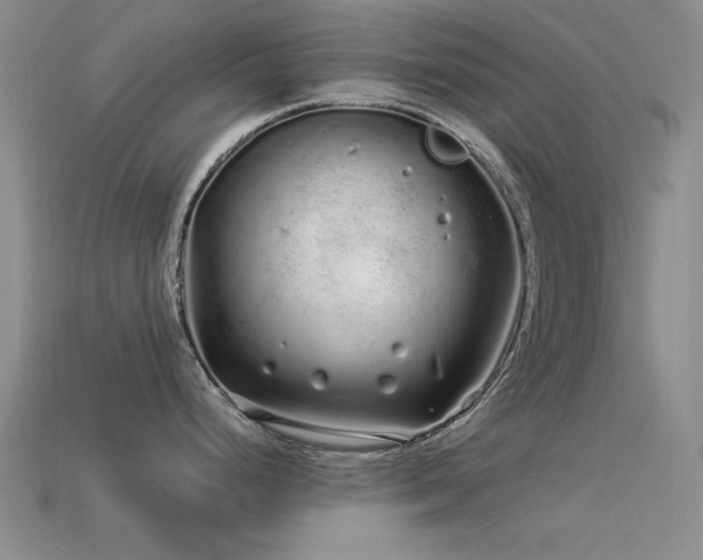X0000113531248200909181128