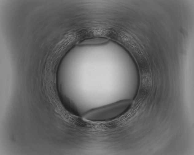 X0000113531249200909181128