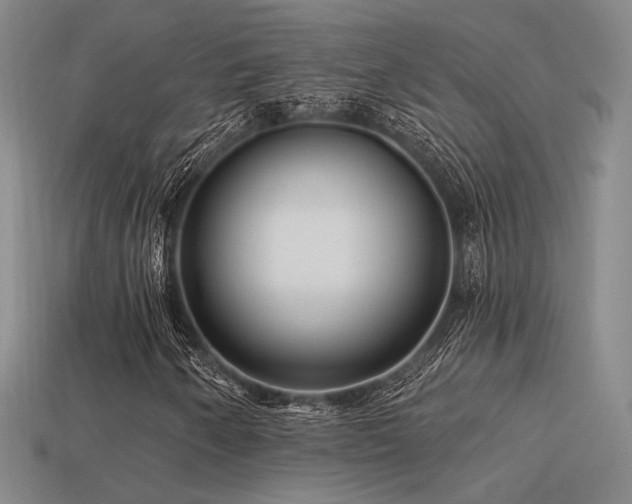 X0000113531250200909181128