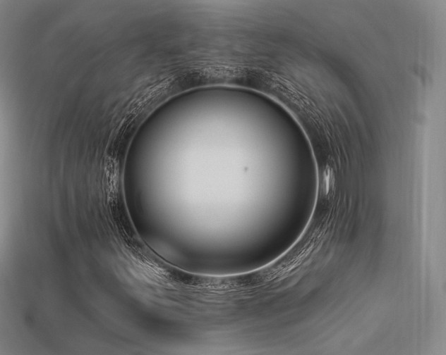 X0000113531251200909181128