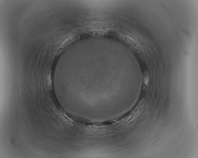 X0000113531252200909181128