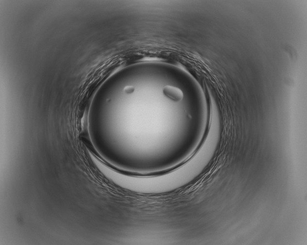 X0000113531253200909181128