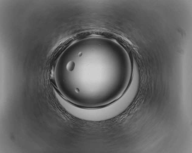 X0000113531255200909181128