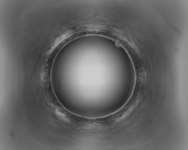 X0000113531256200909181128