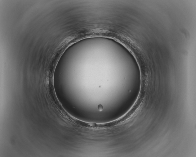 X0000113531257200909181128