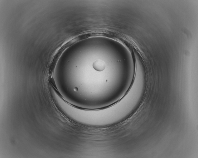 X0000113531260200909181128