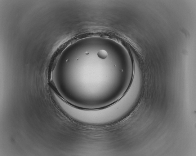 X0000113531261200909181128