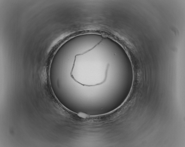 X0000113531262200909181128