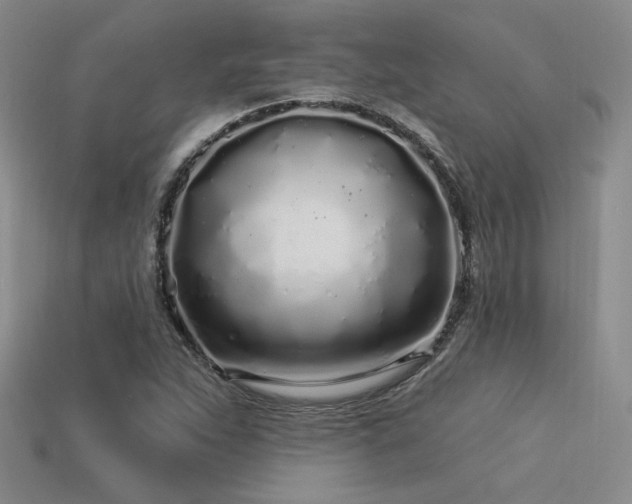 X0000113531263200909181128