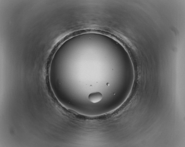 X0000113531264200909181127