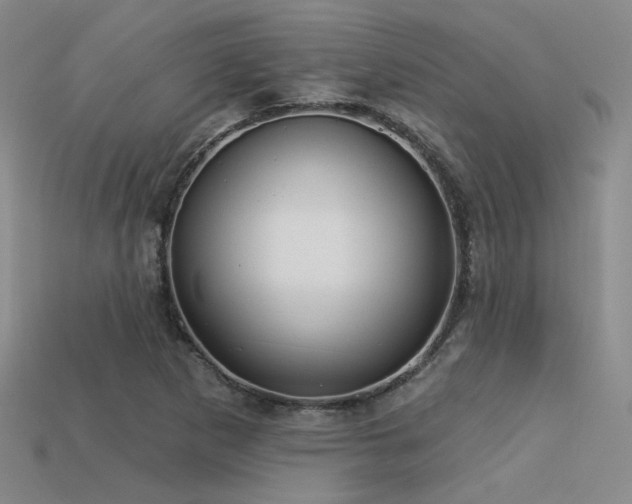 X0000113531265200909181127