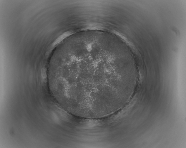 X0000113531266200909181127