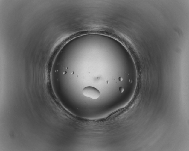 X0000113531267200909181127