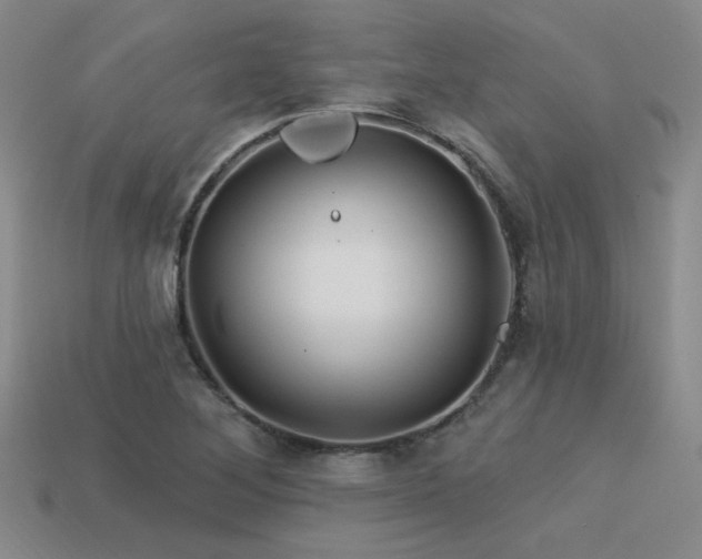 X0000113531268200909181127