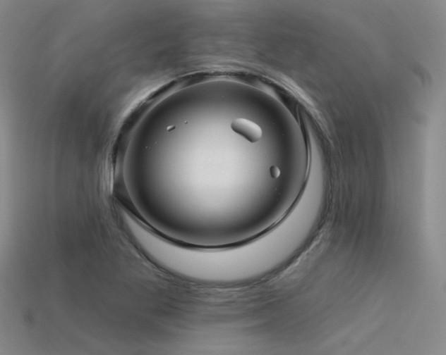 X0000113531269200909181127