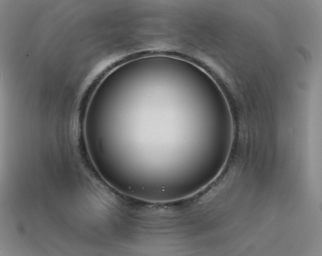 X0000113531270200909181127