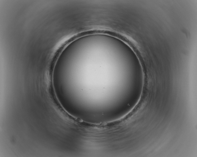 X0000113531271200909181127