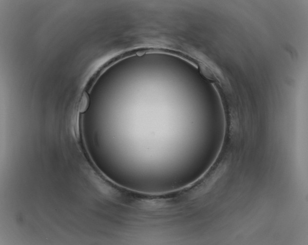 X0000113531272200909181127