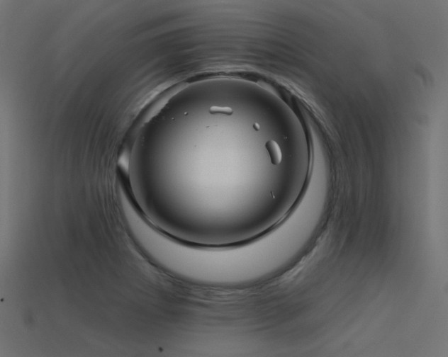 X0000113531273200909181127