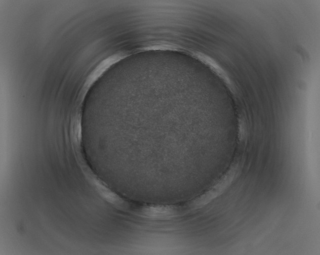 X0000113531274200909181127