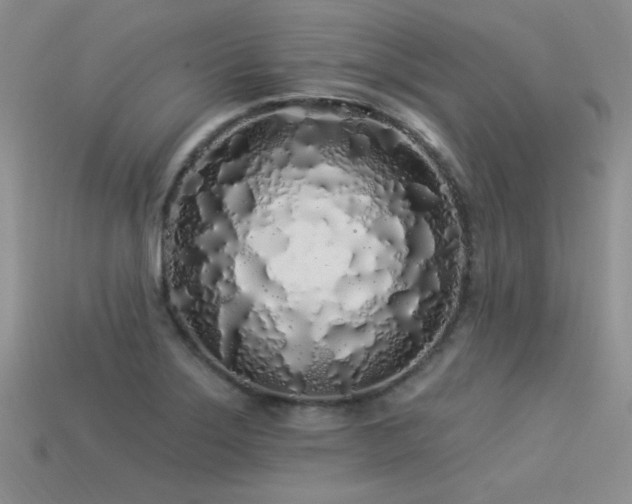X0000113531275200909181127
