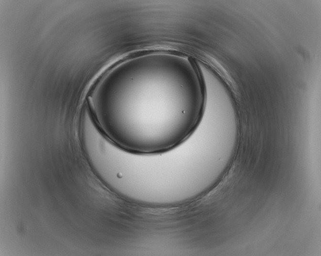 X0000113531276200909181127