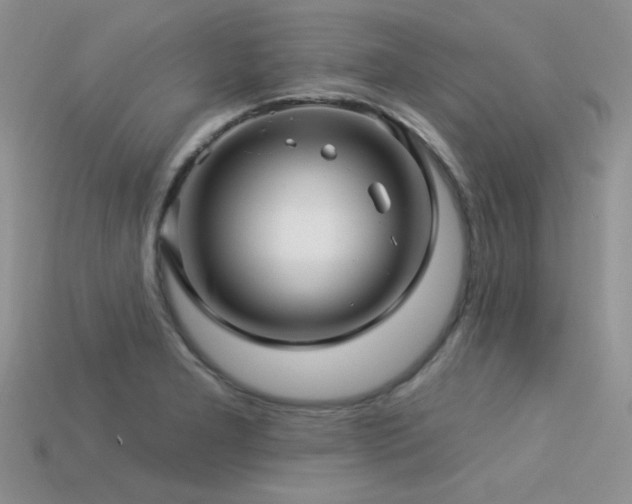X0000113531277200909181127