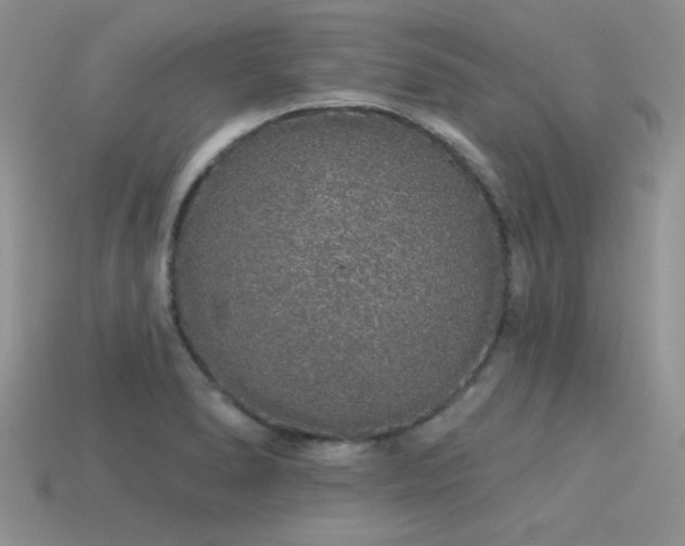 X0000113531278200909181127