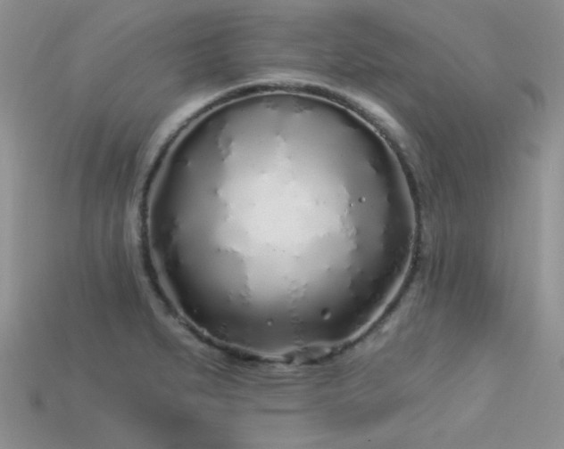 X0000113531279200909181127