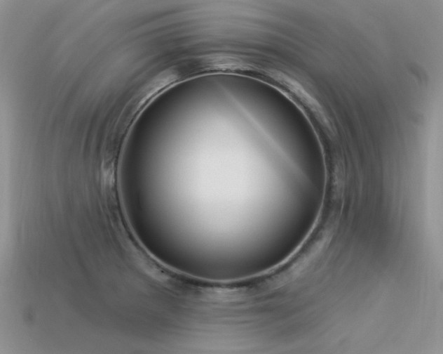 X0000113531281200909181127