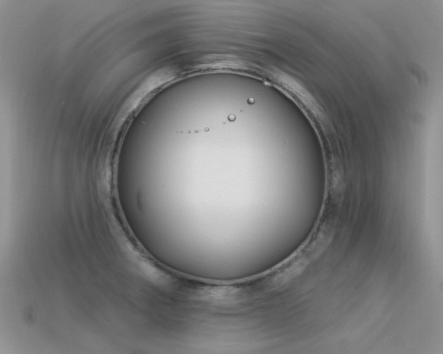 X0000113531282200909181127