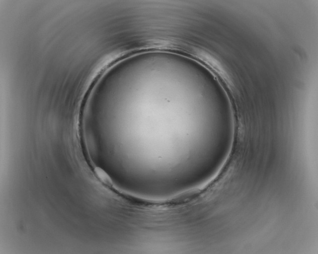 X0000113531283200909181127