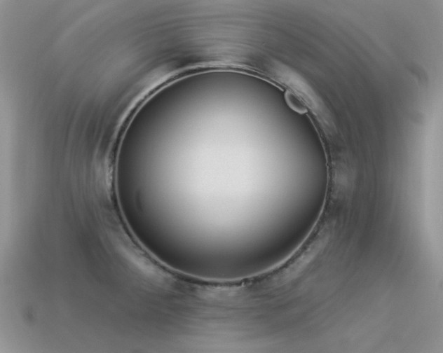 X0000113531284200909181127