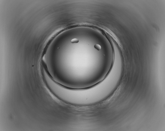 X0000113531285200909181127