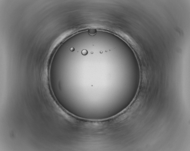 X0000113531286200909181127