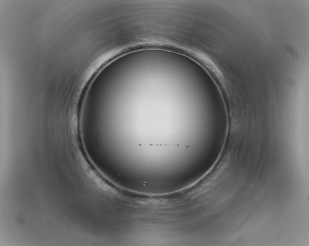 X0000113531287200909181127