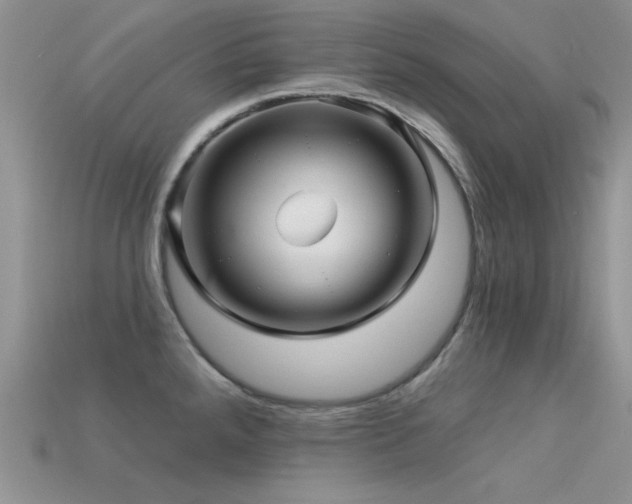 X0000113531288200909181127