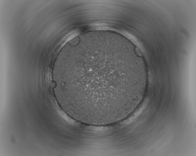 X0000113531289200909181127