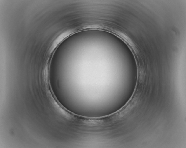 X0000113531290200909181127