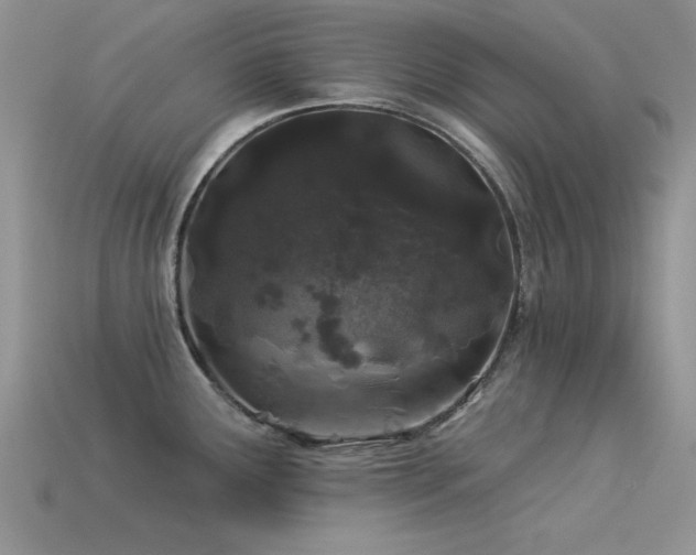 X0000113531291200909181127