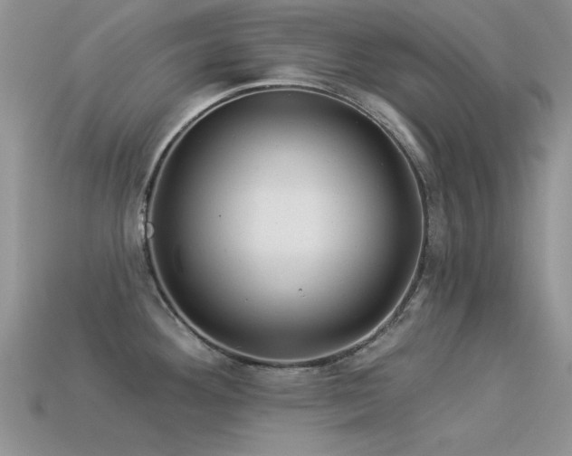 X0000113531292200909181127