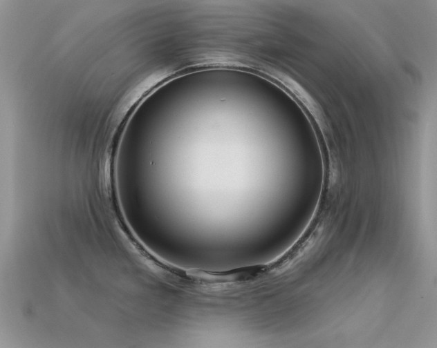 X0000113531293200909181127
