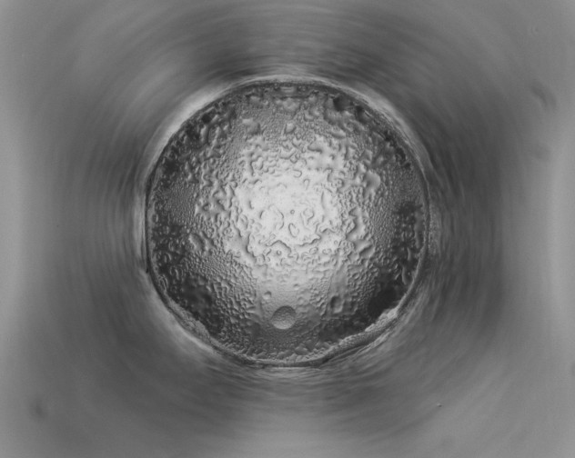 X0000113531295200909181127