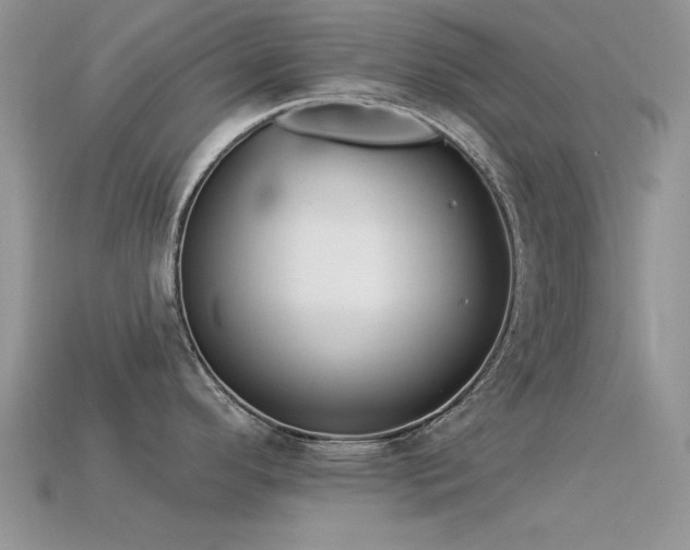X0000113531296200909181127
