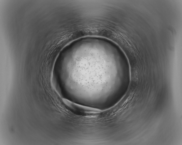 X0000113531297200909181126