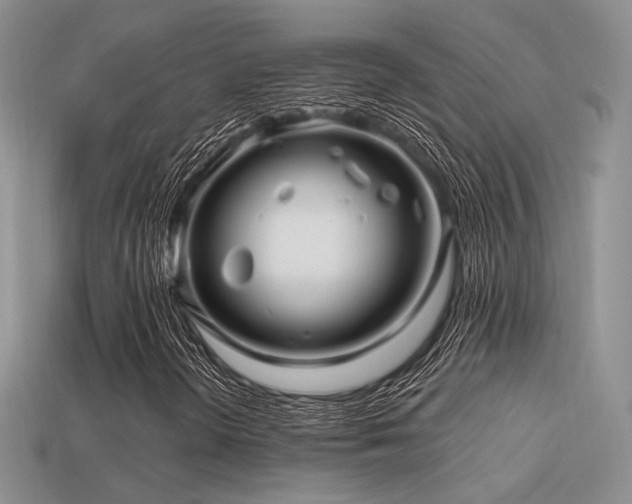 X0000113531298200909181126